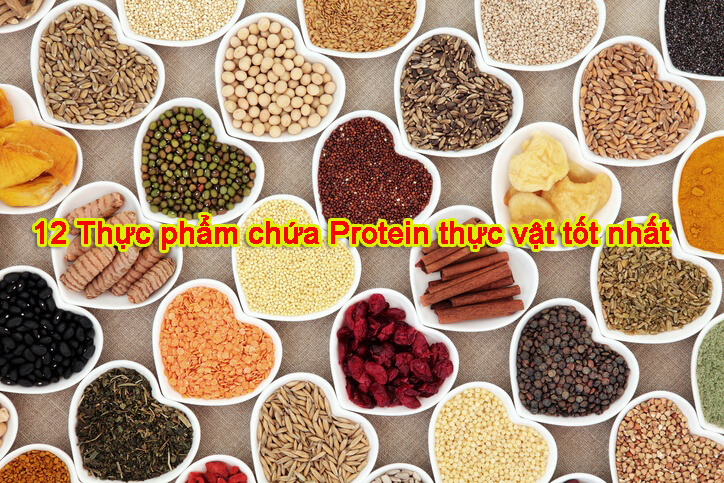 protein thực vật, đạm thực vật herbasoul